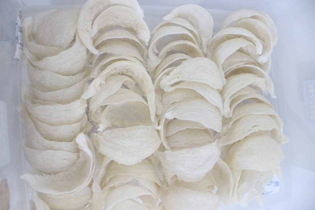 饲养和采摘燕窝： 法规、时机和对其清真性的争论