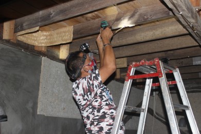 如何快速让燕子在燕子屋筑巢